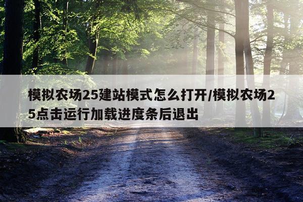 模拟农场25建站模式怎么打开/模拟农场25点击运行加载进度条后退出