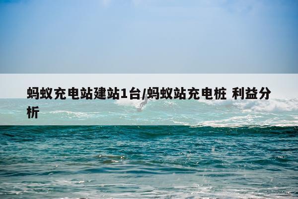 蚂蚁充电站建站1台/蚂蚁站充电桩 利益分析