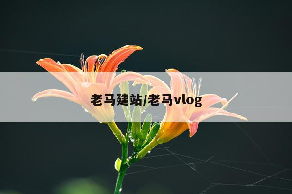 老马建站/老马vlog