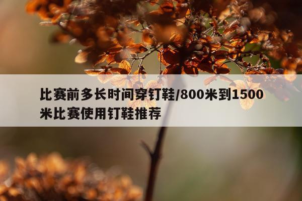 比赛前多长时间穿钉鞋/800米到1500米比赛使用钉鞋推荐