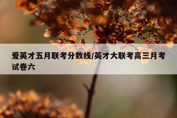 爱英才五月联考分数线/英才大联考高三月考试卷六