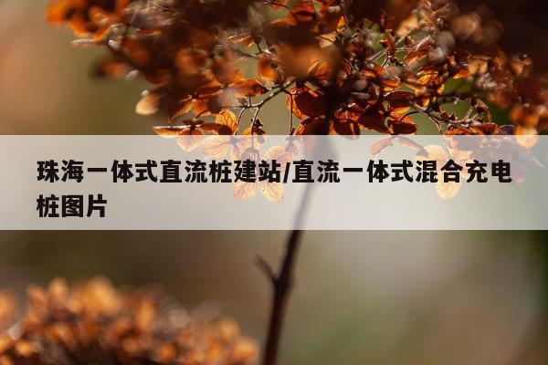 珠海一体式直流桩建站/直流一体式混合充电桩图片