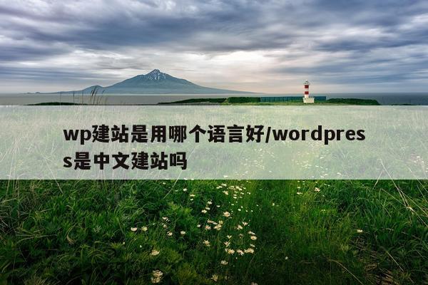 wp建站是用哪个语言好/wordpress是中文建站吗