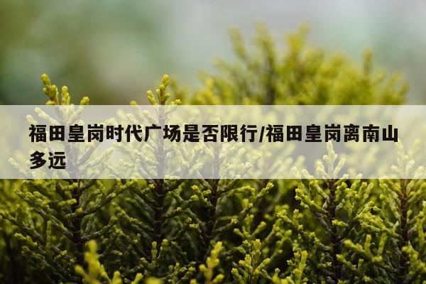 福田皇岗时代广场是否限行/福田皇岗离南山多远