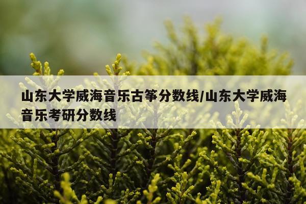 山东大学威海音乐古筝分数线/山东大学威海音乐考研分数线