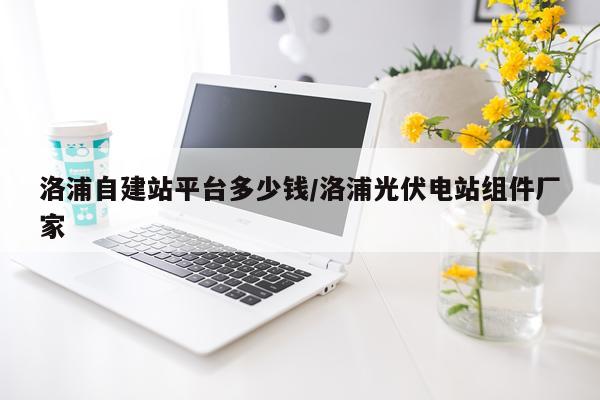 洛浦自建站平台多少钱/洛浦光伏电站组件厂家