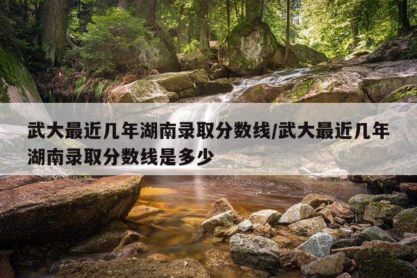 武大最近几年湖南录取分数线/武大最近几年湖南录取分数线是多少