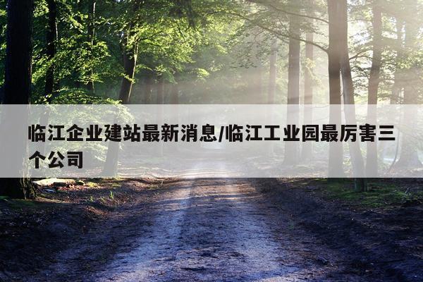 临江企业建站最新消息/临江工业园最厉害三个公司