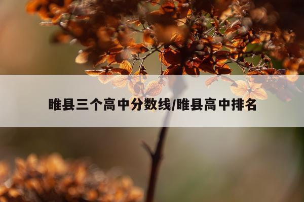 睢县三个高中分数线/睢县高中排名