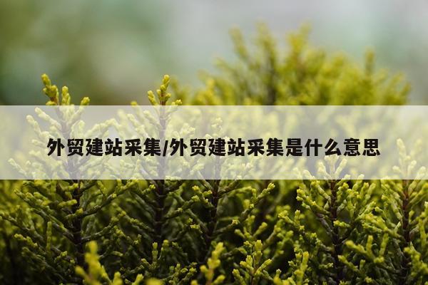 外贸建站采集/外贸建站采集是什么意思