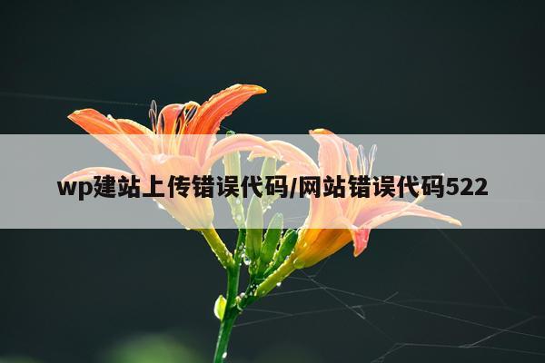 wp建站上传错误代码/网站错误代码522