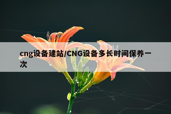 cng设备建站/CNG设备多长时间保养一次