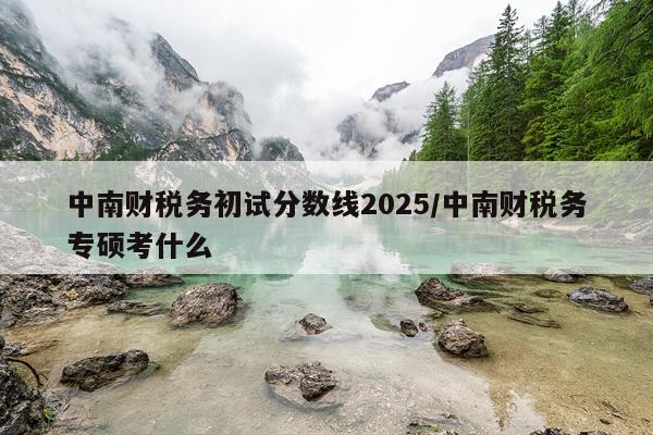 中南财税务初试分数线2025/中南财税务专硕考什么