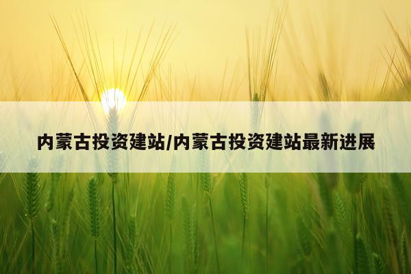 内蒙古投资建站/内蒙古投资建站最新进展