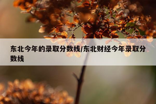 东北今年的录取分数线/东北财经今年录取分数线