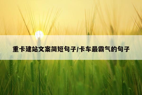 重卡建站文案简短句子/卡车最霸气的句子