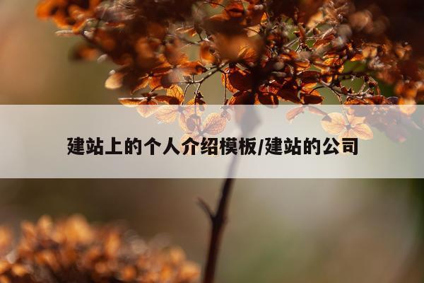 建站上的个人介绍模板/建站的公司