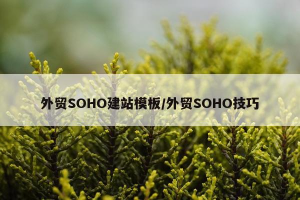 外贸SOHO建站模板/外贸SOHO技巧