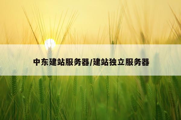 中东建站服务器/建站独立服务器