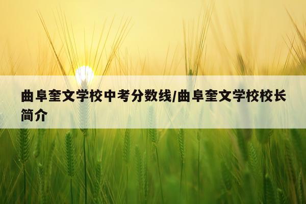 曲阜奎文学校中考分数线/曲阜奎文学校校长简介