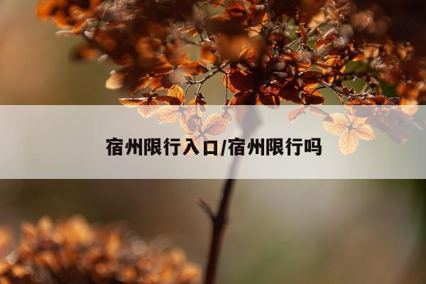 宿州限行入口/宿州限行吗