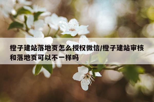 橙子建站落地页怎么授权微信/橙子建站审核和落地页可以不一样吗