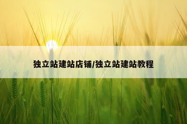 独立站建站店铺/独立站建站教程
