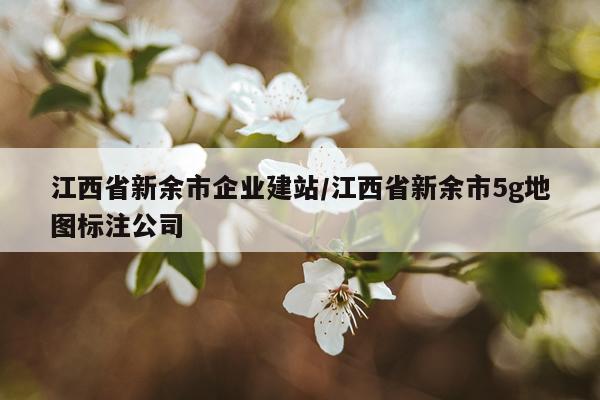 江西省新余市企业建站/江西省新余市5g地图标注公司