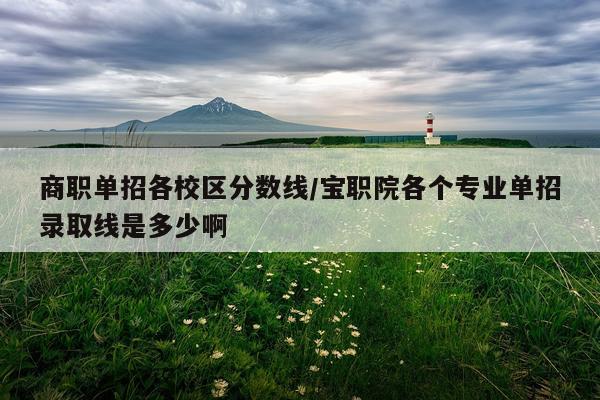 商职单招各校区分数线/宝职院各个专业单招录取线是多少啊
