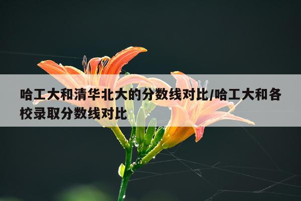 哈工大和清华北大的分数线对比/哈工大和各校录取分数线对比