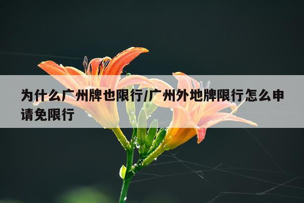 为什么广州牌也限行/广州外地牌限行怎么申请免限行