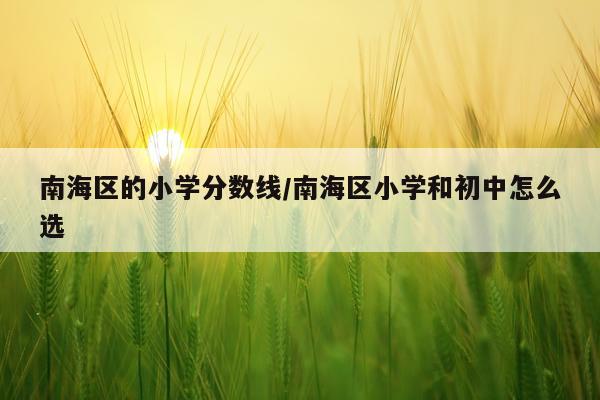 南海区的小学分数线/南海区小学和初中怎么选