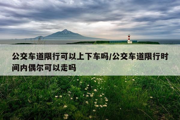 公交车道限行可以上下车吗/公交车道限行时间内偶尔可以走吗