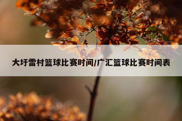 大圩雷村篮球比赛时间/广汇篮球比赛时间表