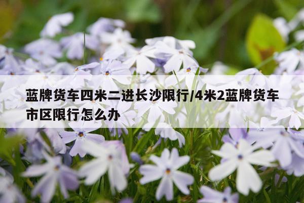 蓝牌货车四米二进长沙限行/4米2蓝牌货车市区限行怎么办