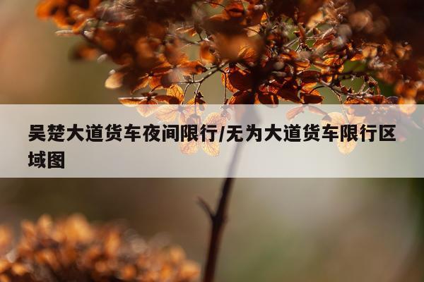 吴楚大道货车夜间限行/无为大道货车限行区域图