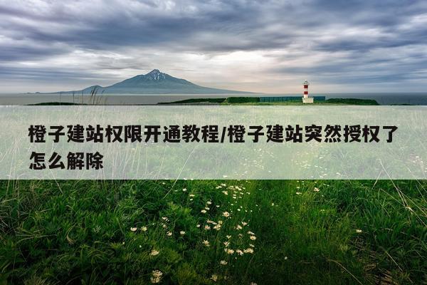 橙子建站权限开通教程/橙子建站突然授权了怎么解除