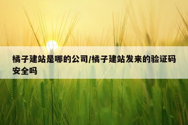 橘子建站是哪的公司/橘子建站发来的验证码安全吗