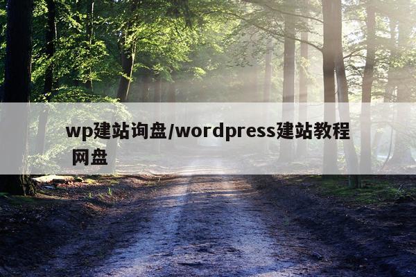 wp建站询盘/wordpress建站教程 网盘