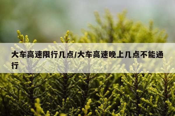大车高速限行几点/大车高速晚上几点不能通行
