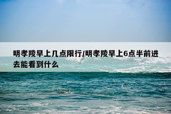 明孝陵早上几点限行/明孝陵早上6点半前进去能看到什么