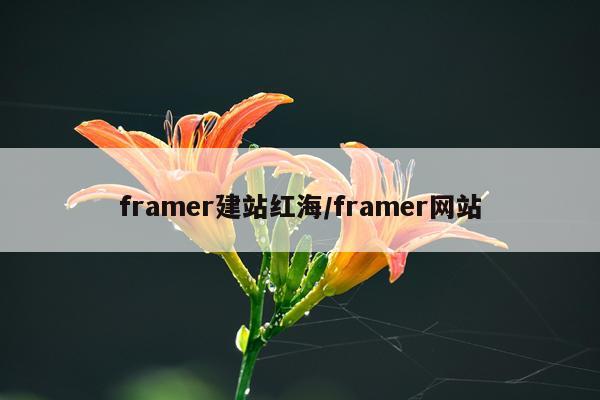 framer建站红海/framer网站