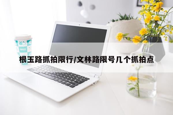 根玉路抓拍限行/文林路限号几个抓拍点