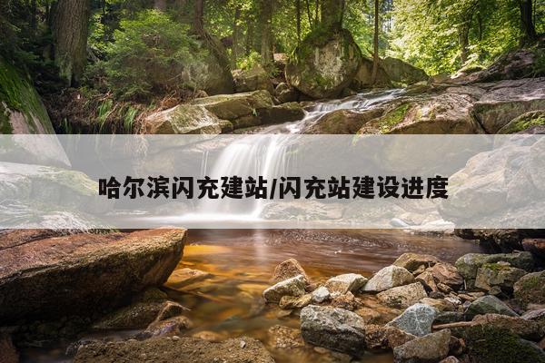 哈尔滨闪充建站/闪充站建设进度