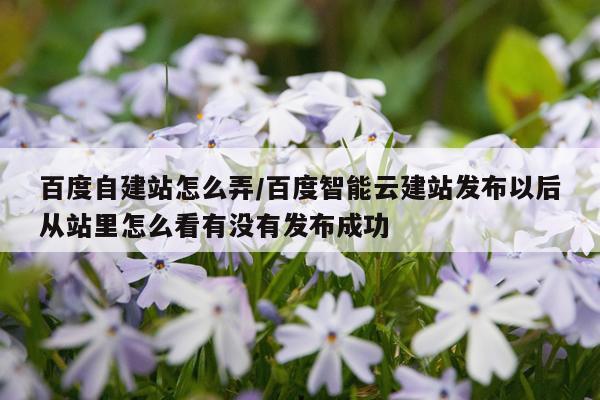 百度自建站怎么弄/百度智能云建站发布以后从站里怎么看有没有发布成功