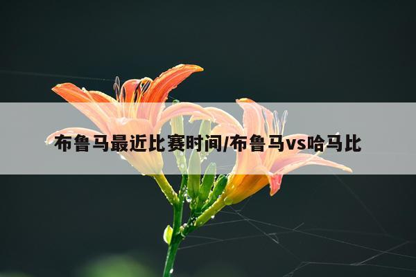 布鲁马最近比赛时间/布鲁马vs哈马比