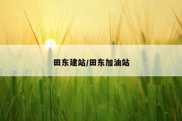 田东建站/田东加油站