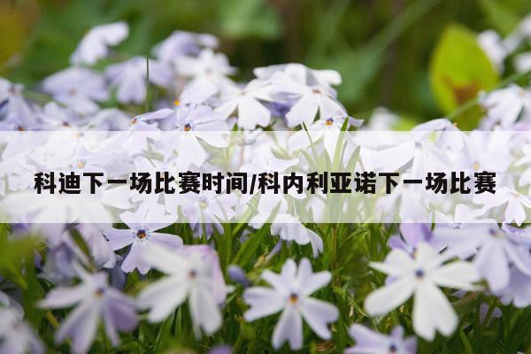 科迪下一场比赛时间/科内利亚诺下一场比赛
