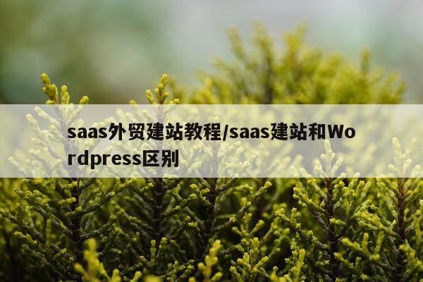 saas外贸建站教程/saas建站和Wordpress区别