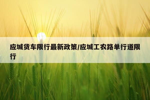 应城货车限行最新政策/应城工农路单行道限行